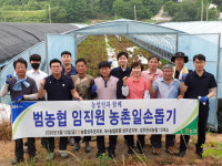 경북 성주군농협, 상추재배 농가 일손돕기