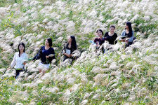 [시사뒷담] 달서구가 달성습지 개명? 그럼 서구 달서천은?