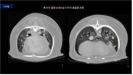 [박순석의 동물병원 24시] 심장에 암이 전이된 반려견
