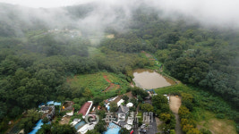 [2020 세상 읽기] 골목길 연가(戀歌)