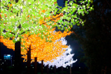 경북 성주군 ‘성밖숲 희망길 와숲’ 언택트 관광 선도