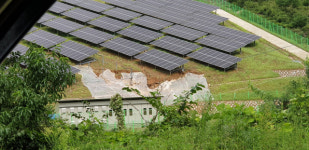 [르포] 태양광 시설 개발로 나무 베어내…비 오면 토사 줄줄줄