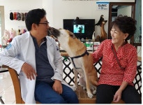 [박순석의 동물병원 24시] 반려가족 위생을 위한 양치습관
