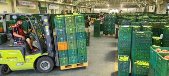 안동농협 공판장 경매 중단사태 불씨 상자 대여료 공방