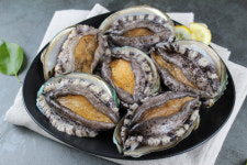 [신팔도유람] 바다가 선물한 최고의 보약…완도 전복