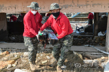 경북 태풍 피해 망연자실…공무원·軍, 복구 구슬땀
