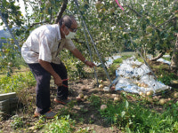 경북 태풍 피해 망연자실…공무원·軍, 복구 구슬땀