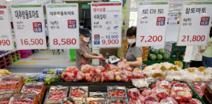 [포토뉴스] 살까, 말까 농산물 가격 폭등세...추석 앞두고 물가 비상