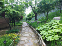 경북 성주에서 즐기는 ‘언택트 힐링 관광 10선’