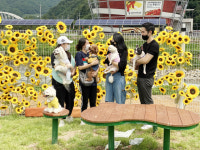 추석 연휴 문경새재에는 개들이 웃고 다닌다?