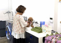 추석 연휴 문경새재에는 개들이 웃고 다닌다?