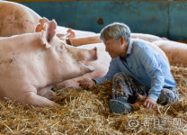 [김태형의 시시각각] ⑱ 포스트 코로나를 위한 동물복지