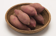 [신팔도명물] 제철 맞은 여주고구마