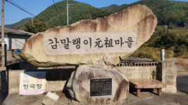 [생명고을 청도, 농업 비전과 전략]농특산품 다변화 날개 달다