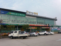 구미시 혈세 9억 먹여 키운 금오산 맥우 어디로?