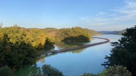 [안동을 걷다, 먹다] 4. 선비순례길