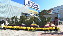 [포토뉴스] 동대구역 광장 국화 전시...용 국화 조형물
