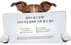 [박순석의 동물병원 24시] 반려견 입양 자격 테스트