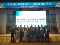 코로나19 극복하자 대구마이스산업협회 출범