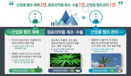 산업용 헴프 특구 안동-농업·바이오산업 동반성장 플랫폼