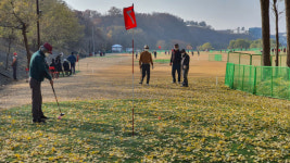 [거꾸로읽는스포츠] 대세로 떠오른 파크골프