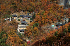 [이원선의 힐링&여행] 봉화 청량산