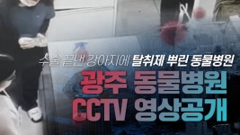 광주 동물병원 강아지 학대 논란의 영상 공개…국민청원 12만 동의