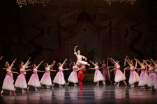 대구시티발레단, 19일 어울아트센터서 크리스마스 최고의 선물 ‘호두까기 인형’ 공연