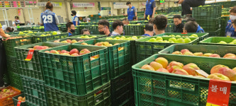 안동농협 공판장, 사과상자 마찰 뒷짐 3만개 추가제작 땜질처방
