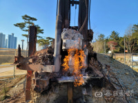 포항 철길숲 이색볼거리 불의 정원 재점화