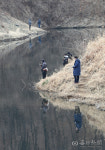 [포토뉴스] 대구 진천천...낚시금지 구역 지정돼야
