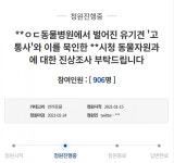 순천 동물병원, 마취 없이 안락사…유기견 고통사 의혹 靑 청원