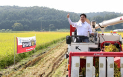 [신팔도명물] 이천시 특화 벼 품종 해들·알찬미