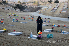 [포토뉴스] 설 연휴 발길 끊긴 추모공원