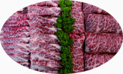 [기획]신축년은 경북 한우의 해 <9>청도한우 전국 최초로 축산 환경개선제 사료에 첨가