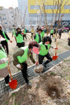 [포토뉴스] 달서구 우리 마을 동산 가꾸기...나무 심는 주민들