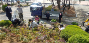 대구 서도초교 졸업생들, 모교에 장미동산 조성
