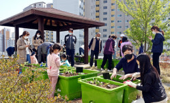 동구 신천도서관, 옥상 텃밭 프로그램‘도시농부’운영