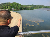 [르포] 육지발전소보다 우수 수중 생태계 교란…수상태양광 직접 가보니