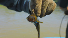 [TV] 자연에서 들려오는 수상한 소리의 주인공과 사연