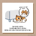 [박순석의 동물병원 24시] 고양이가 물건을 숨기는 이유
