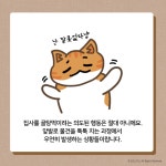 [박순석의 동물병원 24시] 고양이가 물건을 숨기는 이유