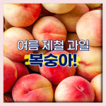 [카드뉴스] 지금만 맛볼 수 있는 이름도 신비한 신비복숭아
