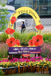[포토뉴스] 도시농업전시관 힐링 공간 주목...대구시농업기술센터  동대구역 광장에 개관