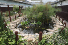 안심창조밸리 연(蓮) 생태관 철거냐, 존치냐 갈등