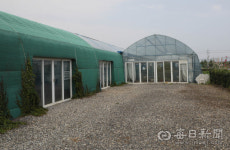 [포토뉴스] 안심창조밸리 연꽃 생태관...내달부터 철거