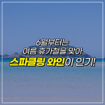 즐기자혼술혼밥 | [카드뉴스] 대세는 혼술! 혼술도 이제 와인으로 즐기자!
