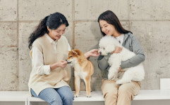 [박순석의 동물병원 24시] 개고기 논란 이제는 끝내야 할 때