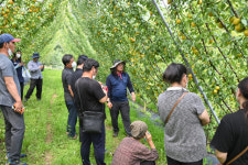 경북 청송군농업인대학 미래농업반, 플럼코트 농장 등 방문