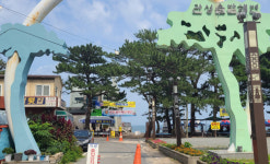[르포] 코로나 우려 속 경주지역 해수욕장 전격 개장, 직접 가보니…